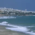 La Cana De Espana * 모야카